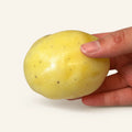 Potato Squishy