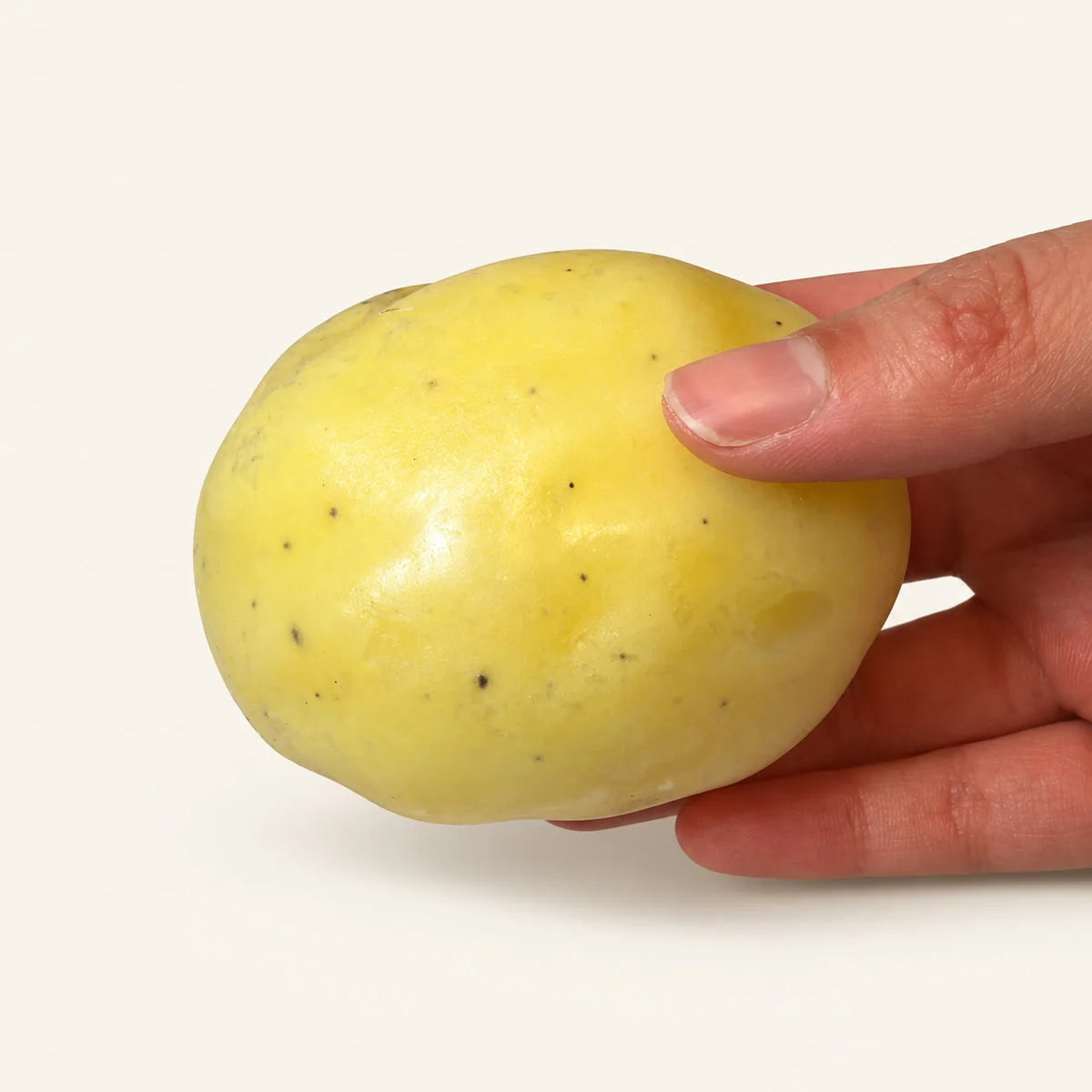 Potato Squishy